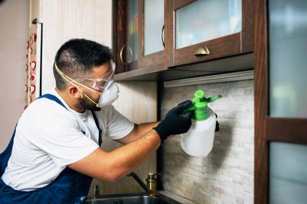 Best Local Pest Control Services  in Mission Hills, KS