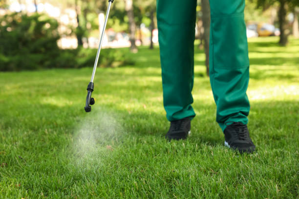 Best Emergency Pest Control  in Mission Hills, KS