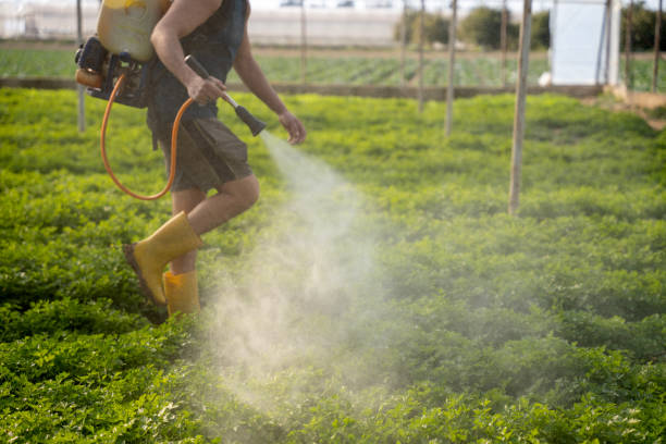 Best Pest Prevention Services  in Mission Hills, KS