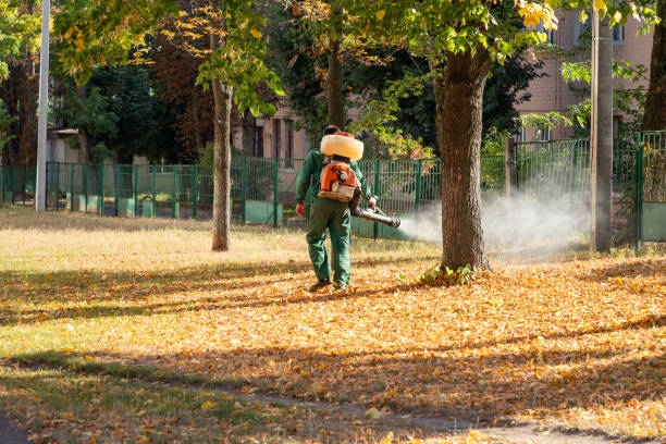 Trusted Mission Hills, KS Pest Control Experts