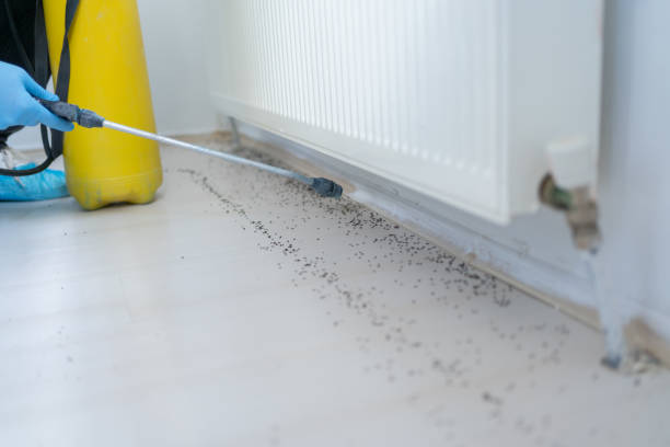 Best Affordable Pest Control Services  in Mission Hills, KS