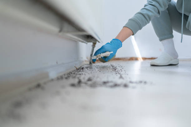 Best Pest Control Near Me  in Mission Hills, KS